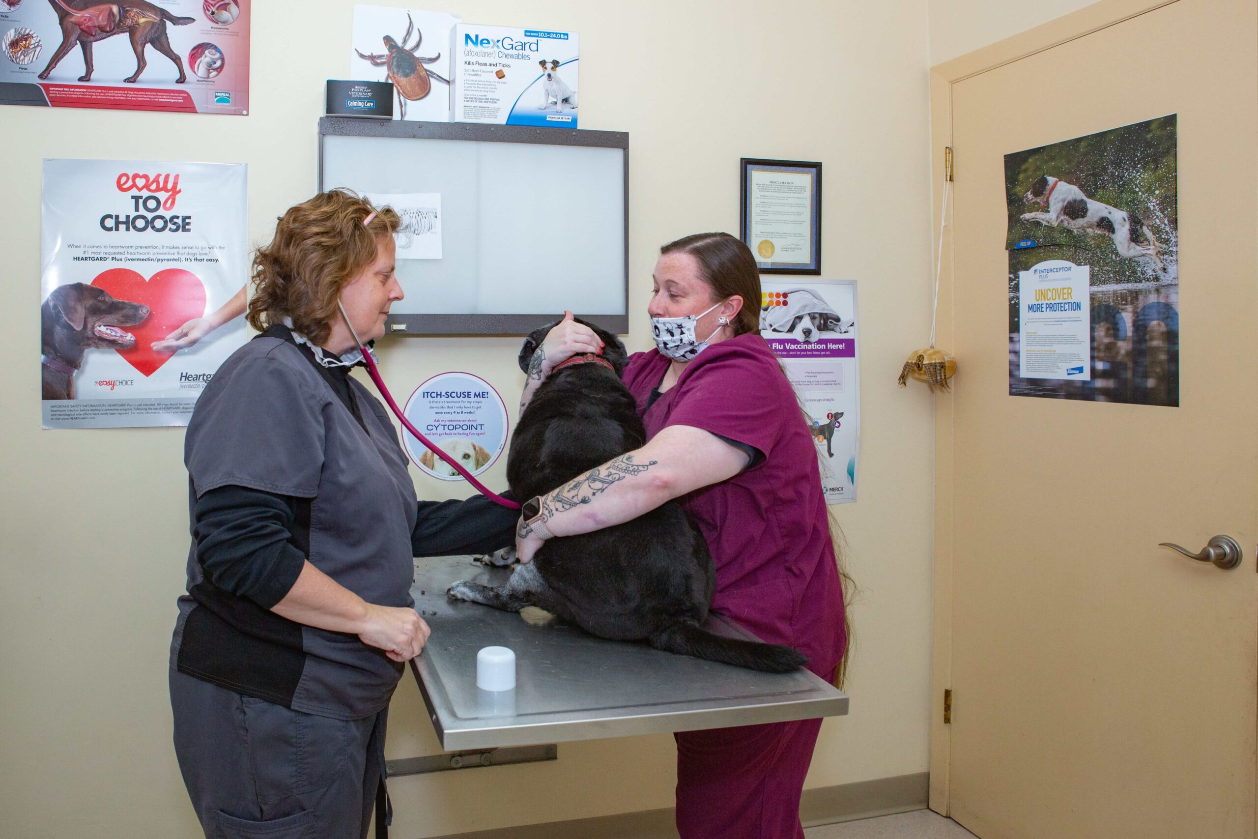 Coastal Veterinary team