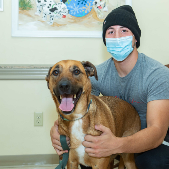 a person wearing a mask and holding a dog