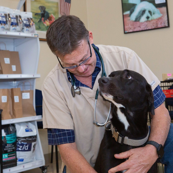 Dr. fritz mchugh with a stethoscope around his neck holding a dog