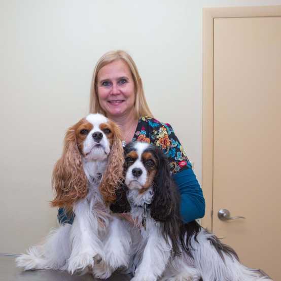 a vet holding two dogs