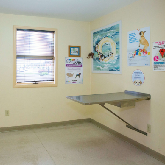 pet examination room 