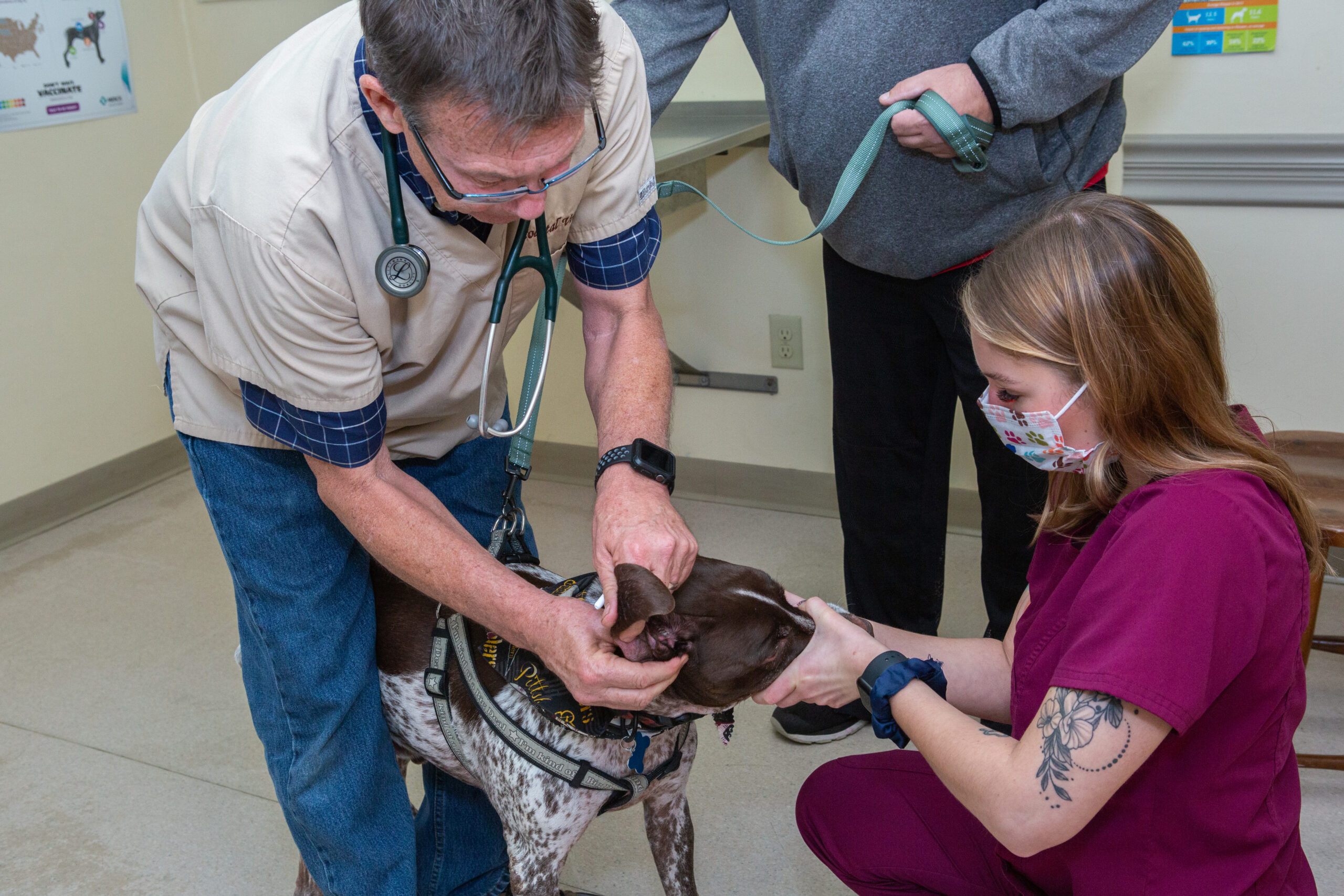 Coastal Veterinary team